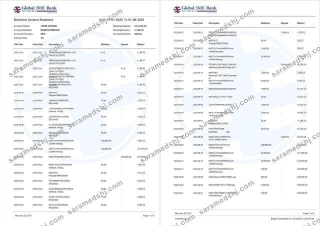 India Global Ime Bank account statement Word and PDF template, 2 pages
